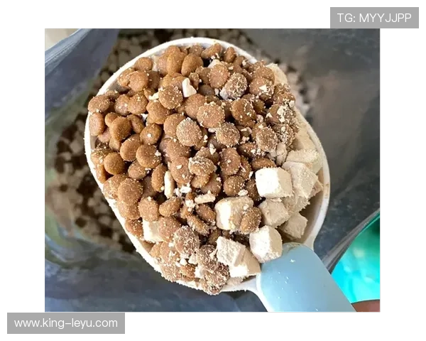 摩根家的冰箱里塞满蛋白粉，连狗粮都是定制低脂的